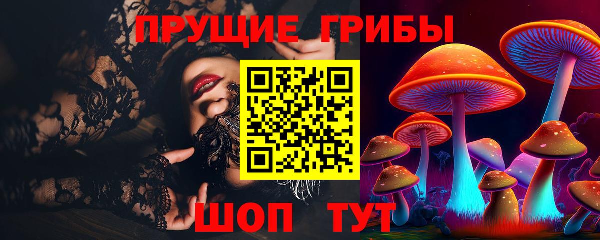 Галлюциногенные грибы Psilocybine cubensis Назарово