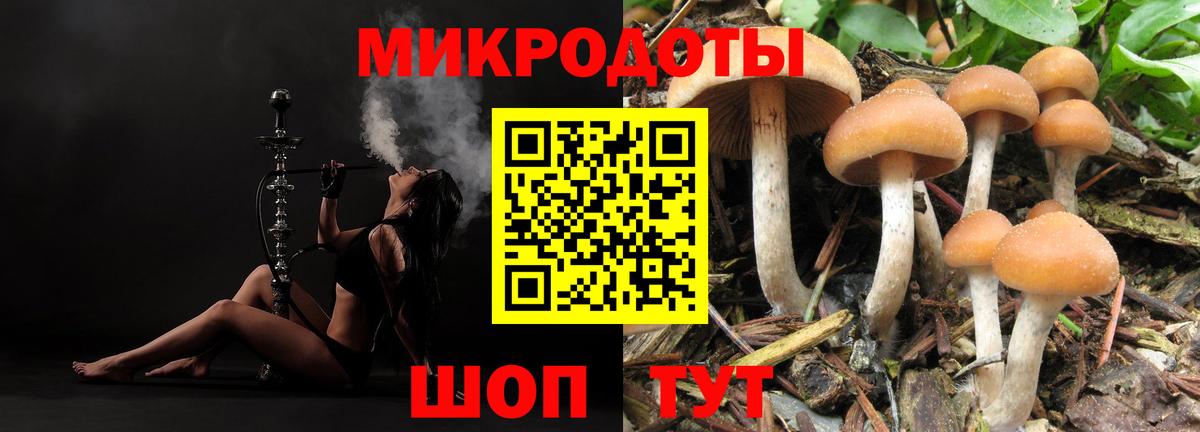 Назарово  Псилоцибиновые грибы ЛСД  Вход с VPN 